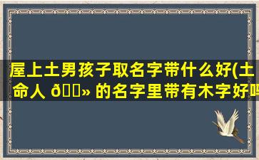 屋上土男孩子取名字带什么好(土命人 🌻 的名字里带有木字好吗)